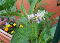 20180610_085655_resized.webp