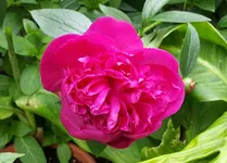20180522_170941_resized2.webp