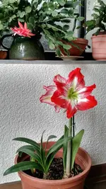 IMG_20180609_084024611_HDR.webp