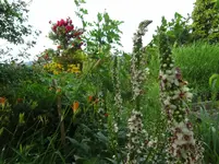 DSC03123.webp