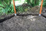 Garten Juni 19.jpg