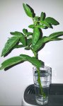 20180610_230010_resized.jpg