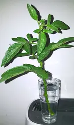 20180610_230010_resized.webp