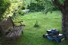 Garten Juni 29.webp