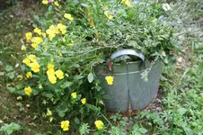 Garten Juni 31.jpg