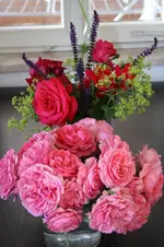 Garten Juni 21.webp