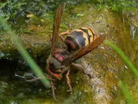 image003.webp