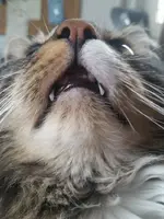 20180524_131243.jpg