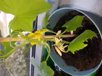 20180611_143737.webp