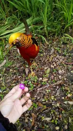 IMG_20180601_132225.jpg