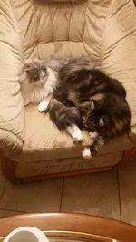 Norge mit Besuch.jpg