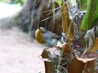P1100300.webp