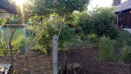 IMG_20180513_191759.webp IMG_20180513_191759.webp
