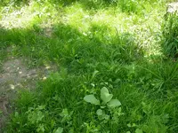 11_06_2018 (1).webp 11_06_2018 (1).webp