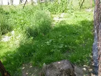 11_06_2018 (12).webp 11_06_2018 (12).webp