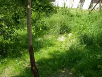 11_06_2018 (13).webp 11_06_2018 (13).webp