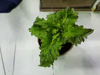 20180611_215904.webp