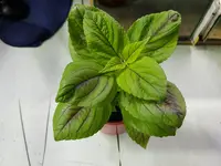 20180611_215822.webp