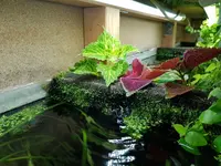 20180611_215939.webp