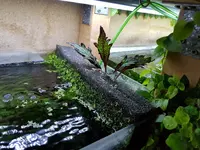 20180611_215927.webp