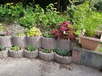 20180427_094754.webp