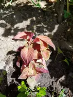 20180517_120905.webp