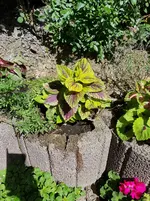 20180517_120916.webp
