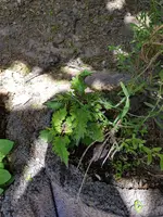 20180517_120926.webp