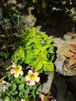 20180517_120937.webp