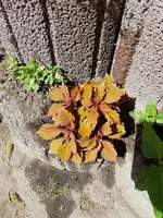 20180517_120939.webp