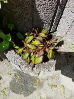 20180517_120943.webp