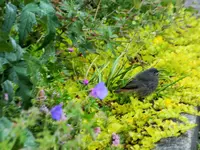 DSCF1336 (2).webp