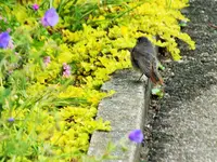 DSCF1335 (2).webp