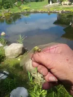 20180611_112121.webp
