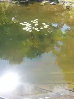20180611_113000.jpg