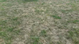 20180612_165457.webp