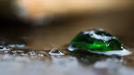 0M3A5200.webp