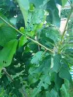 IMG_20180612_205749.webp