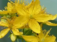 image001.webp
