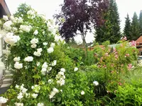 DSCF1332 (2).webp