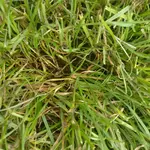 IMG_20180613_145951.webp
