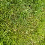 IMG_20180613_150051.webp