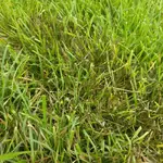 IMG_20180613_145923.webp
