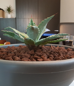 20180613_140943.webp