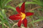 DSC06831.jpg