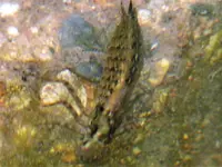 image001.webp