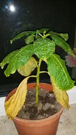 20180104_163632.webp