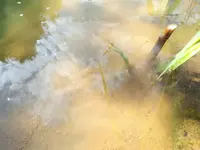 20180530_174450.webp