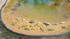 20180611_125334.webp