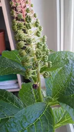 20180608_140714.webp